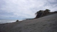 black sand dunes in taranaki